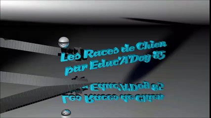 educadog vendée club canin