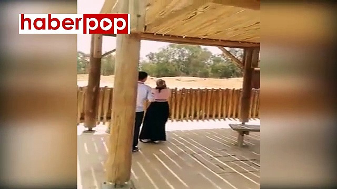 Fil fırlattığı taş ile 7 yaşındaki çocuğu öldürdü #il #çocuk #fas