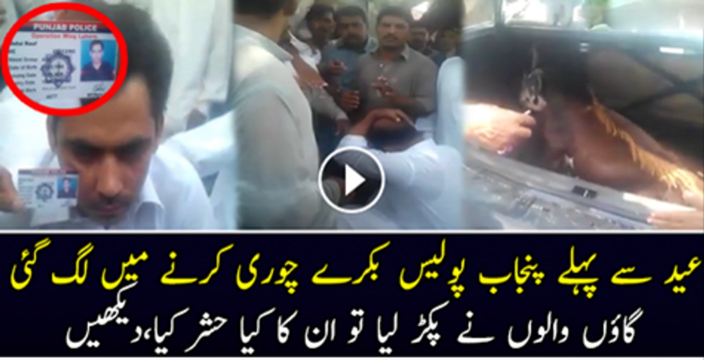 Eid Se Phaly Punjaib Police Bakre Chori Karne mai Lag Gai  Gao Walo Ne Pakar Liya Or Khob Mara