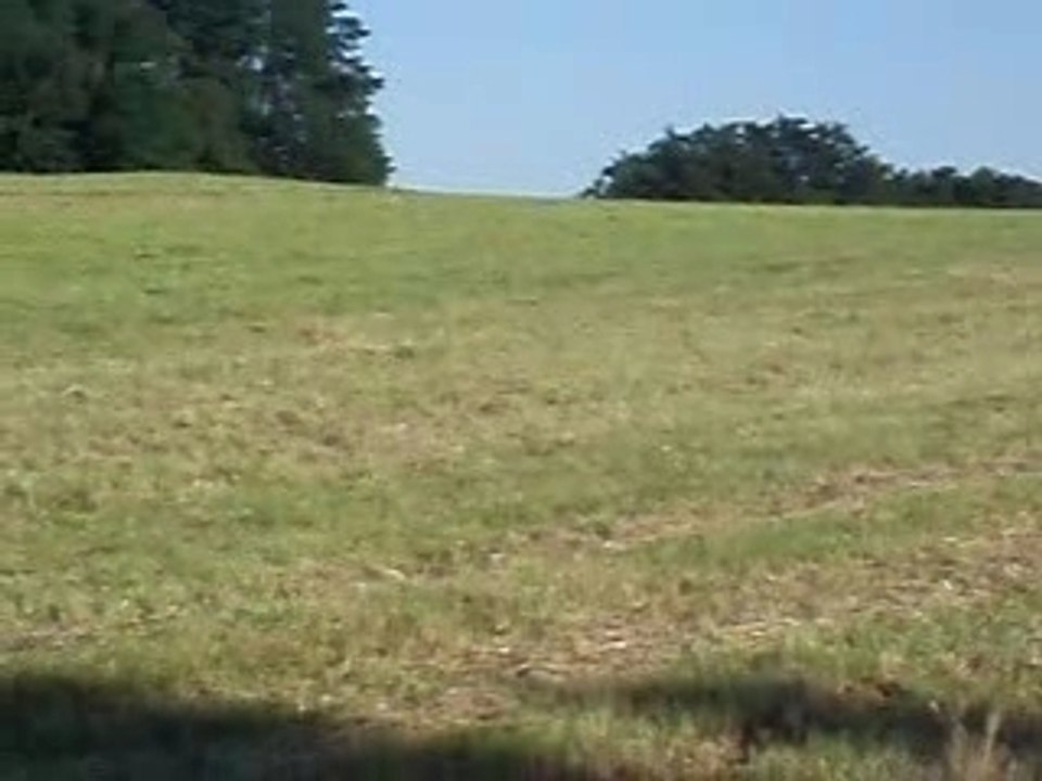 KTM125cm²