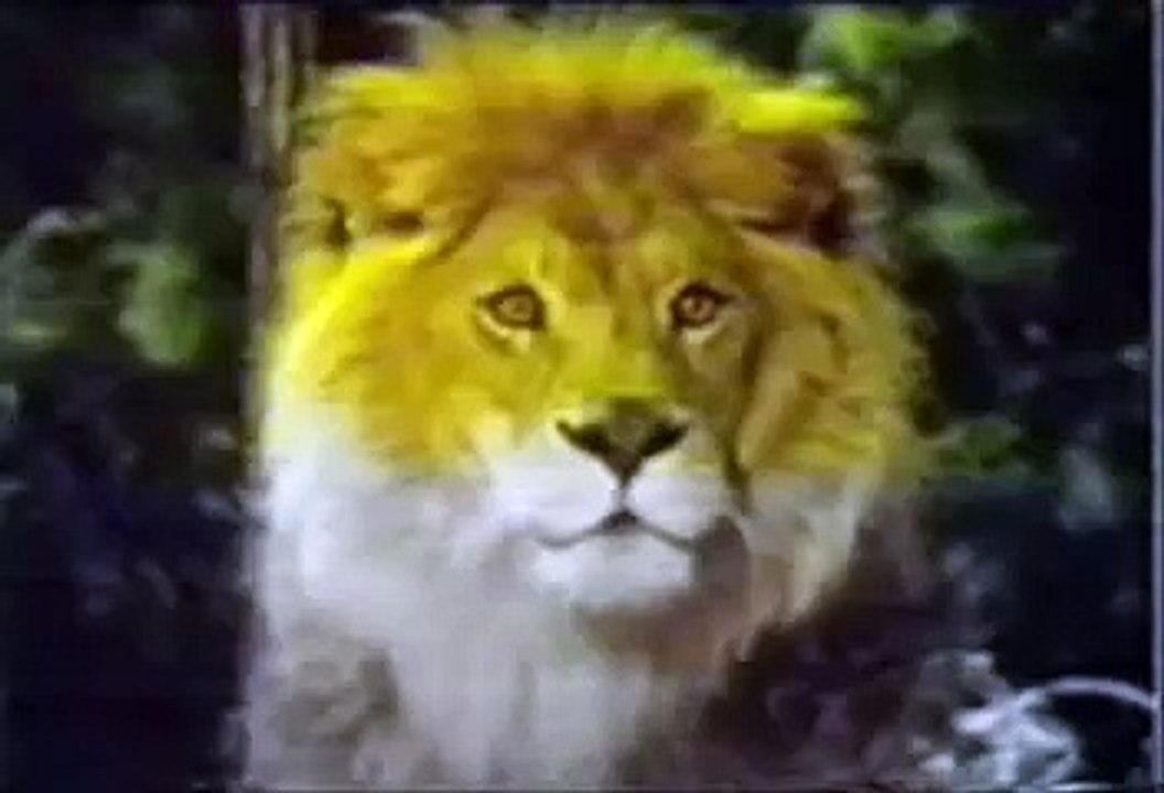 Manimal (panther transformation sequence)