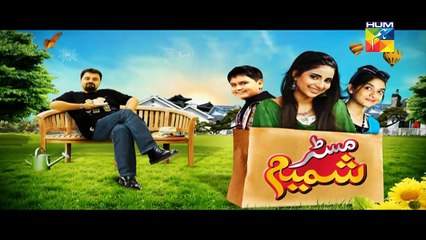 Mr Shamim Episode 64 Full Hum TV Drama 30 July 2016