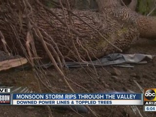 Downed power lines and toppled trees after Valley monsoon storm