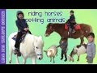 Riding Ponies and Petting Farm Animals | Fun Time | Liam and Taylor's Corner