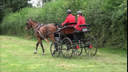 Fête de l'Attelage BEAURAIN 2