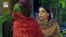 Watch Dil Lagi Episode 19 on Ary Digital in High Quality 30th July 2016