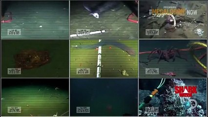 Megalodon Shark Caught On Camera! ΚΑΘΕΣΤΕ ΑΝΑΠΑΥΤΙΚΑ;ΚΑΜΕΡΑ "ΕΠΙΑΣΕ" ΚΑΤΙ ΤΕΡΑΣΤΙΟ ΣΤΟΝ ΕΙΡΗΝΙΚΟ!