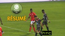 Nîmes Olympique - Stade Lavallois (0-0) - Résumé - (NIMES - LAVAL) / 2016-17