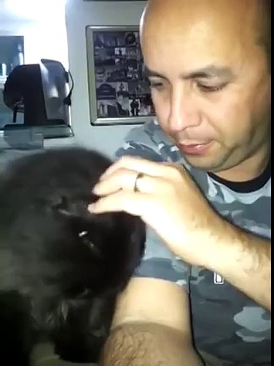 Demands Cat Petting!