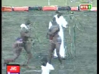 Combat Gris bordeaux-Bombardier