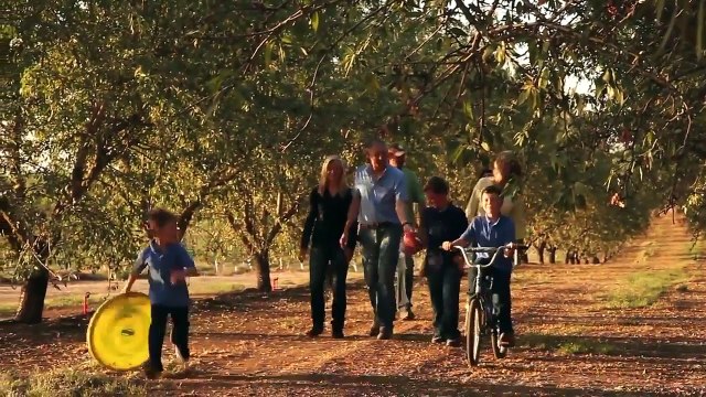 Our Story of Almonds: Eight California Almonds in Every HERSHEY’S Milk Chocolate with Almonds Bar