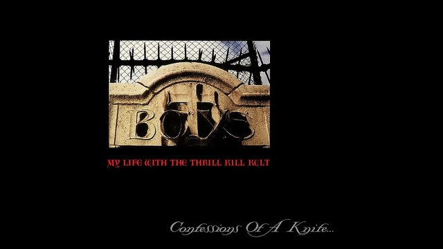 My Life With the Thrill Kill Kult - The Days of Swine & Roses