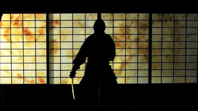 Ниндзя. Воины тени (Тень воина) / Les Guerriers. Ninja - Japans Schattenkrieger / 2011 / HD