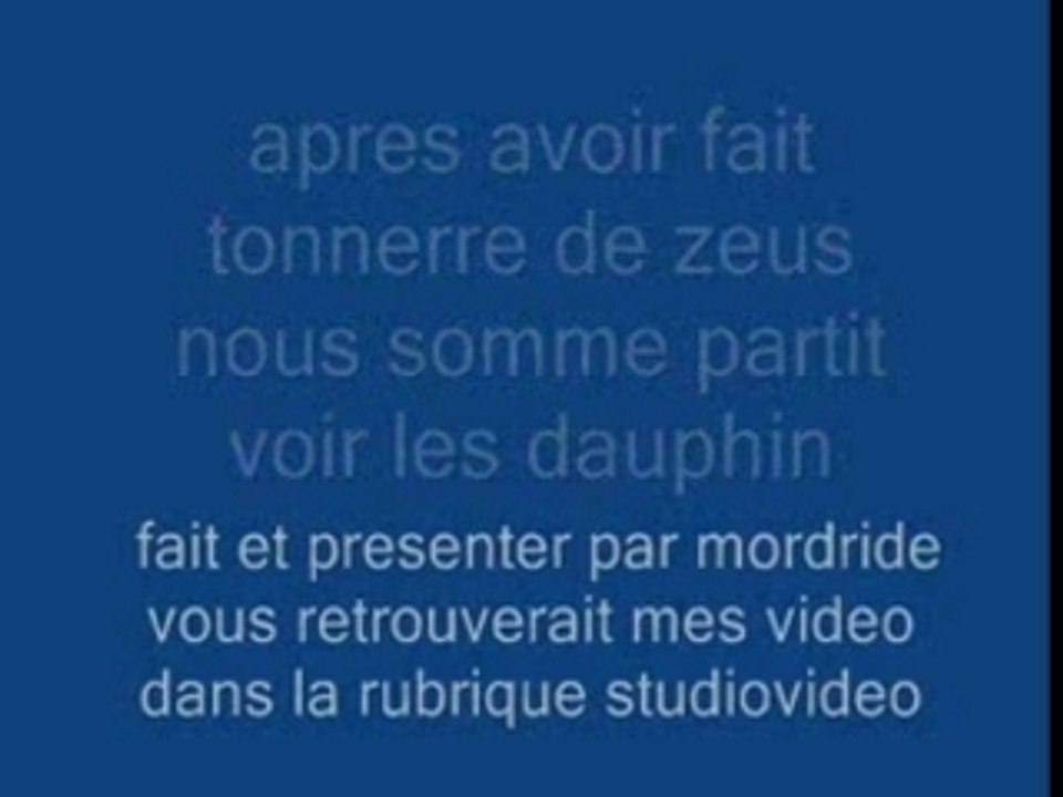 spectacle de dauphin a asterix