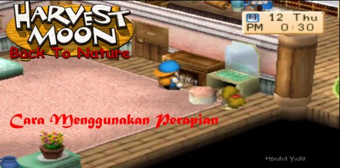 harvest moon back to nature - cara menggunakan perapian
