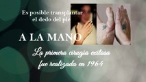 Médecine 5 Trivia / 5 Trivia health / 5 curiosidades de la salud