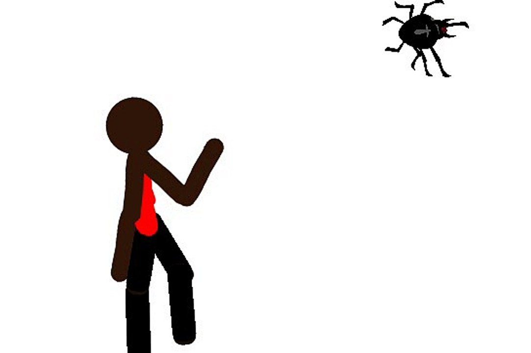 When i see a spider