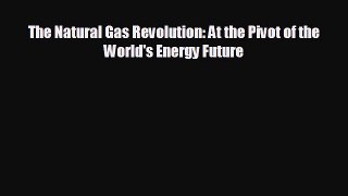 complete The Natural Gas Revolution: At the Pivot of the World's Energy Future