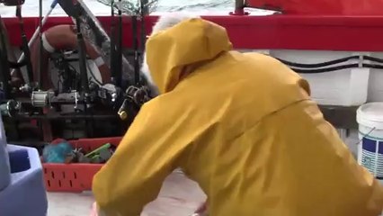 What Happened When a Man Cut the Shark Watch Video