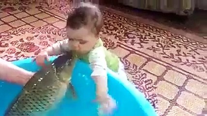 Fish Kissing baby Must watch