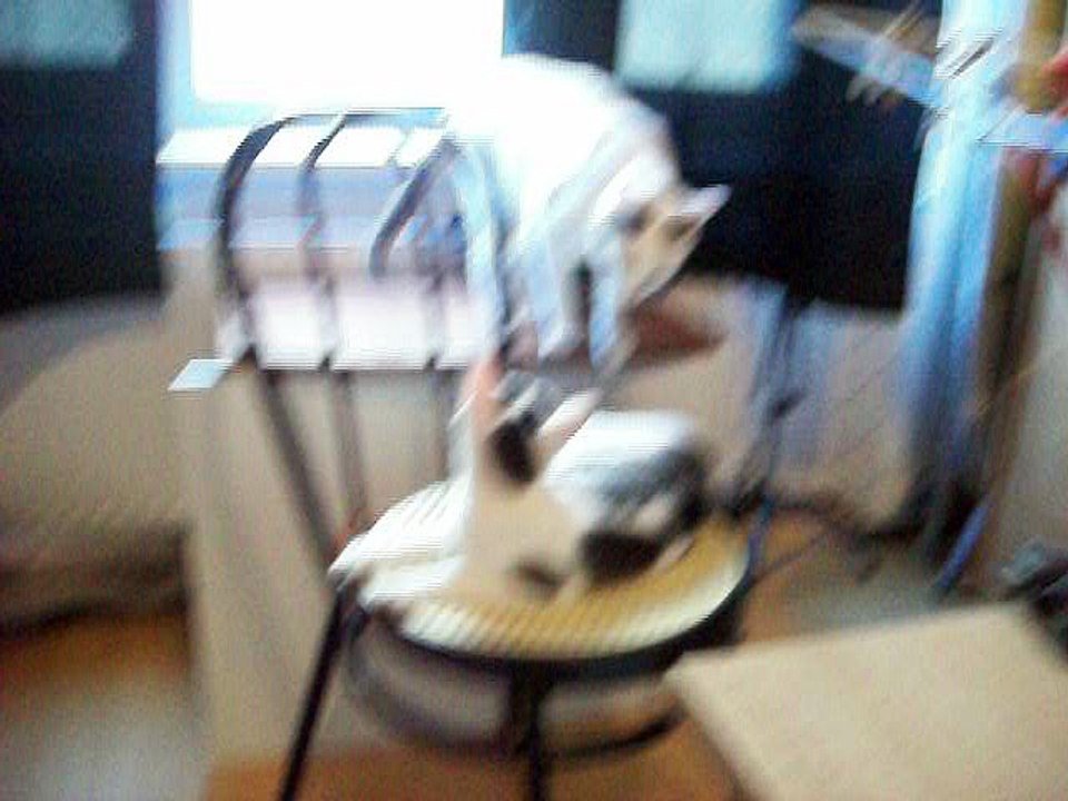 Harvey und Vinzent am 31.07.2016