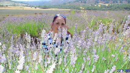 Y Volver , Volver...