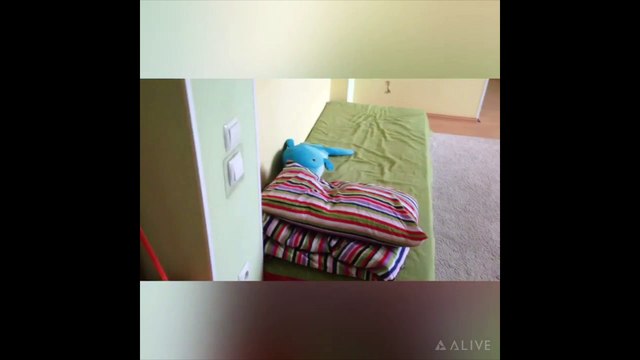 что мне понравилось в июле + вопрос-ответ!