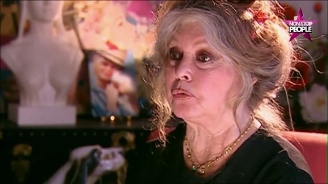 Brigitte Bardot : Son tweet sur les attentats déclenche la colère des internautes (Vidéo)