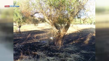 Incendio tra Castel del Monte e Corato: bruciati pezzi di polistirolo, minacciati alberi