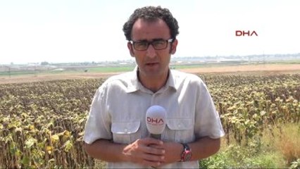 Adana- İncirlik ABD Genelkurmay Başkanı Bekleniyor