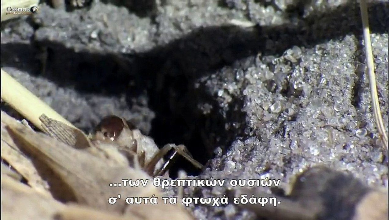 NMAE E05 The Great Flood