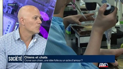 Cloner son chien : idée folle ou acte d'amour?