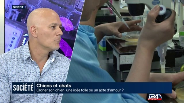 Cloner son chien : idée folle ou acte d'amour?