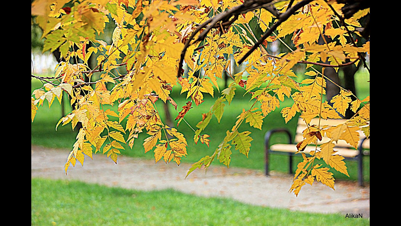 ben ne yangınlar gördüm
