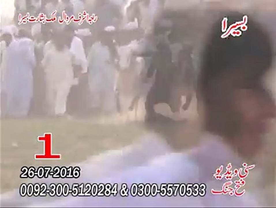 Pakistani bull race