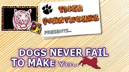Funny dogs never fail to make you happy and smile - Funny dog compilation