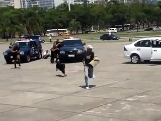 Un chien policier va complètement rater son intervention face à un suspect à Rio !