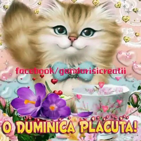 Fericire Si SperanÈÄ Facebook 33 Video Dailymotion