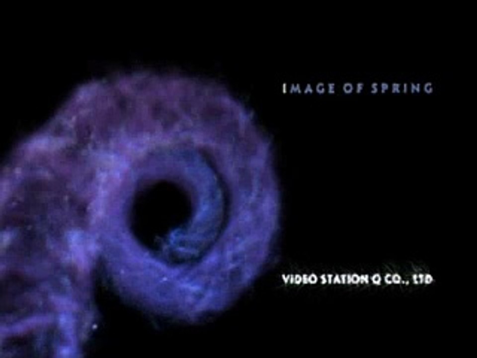 THE ROAD DOG CARTOON