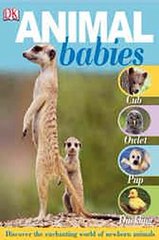 Animal babies DK Ebook EPUB PDF