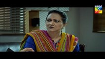 Udaari Episode 17 Full HD Hum TV Drama 31 July 2016