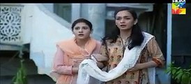 Udaari Episode 17 Full HD Hum TV Drama 31 July 2016 - Dailymotion