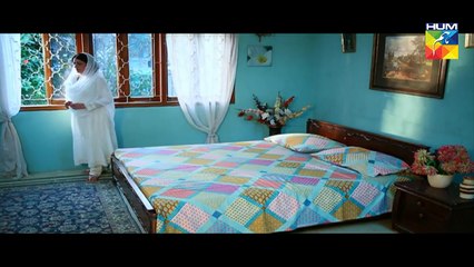 Kathputli Episode 8 Full HD Hum TV Drama 31 July 2016