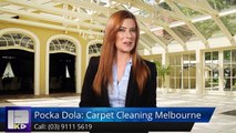 Pocka Dola: Carpet Cleaning Melbourne Malvern WonderfulFive Star Review by hangga a.