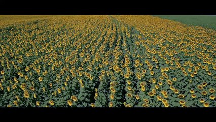 Bol Sans Film Fragman