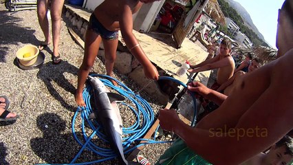 Sutomore Ajkula Shark baby 1080P paraglajding full HD SONY action cam