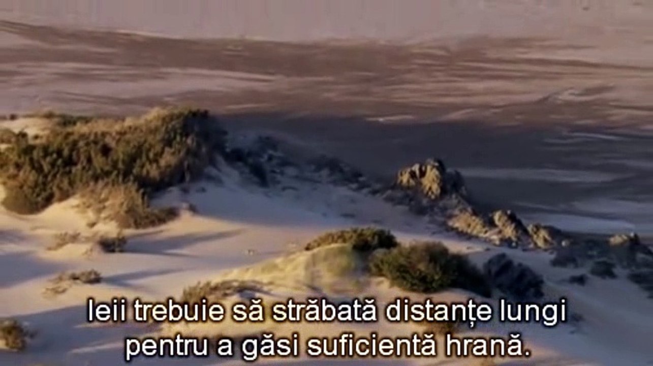 Desertul Namib