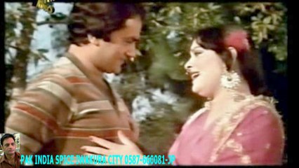 WE MEIN TERE LI- NOOR JHAN ーHD ハラルスパイス岩倉市ジャパンSPICE FOOD JP_1