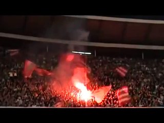 Delije na Zvezda - Rad - I napred Zvezdo tebe volim ja