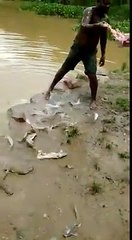 Hunting intelligent thickness